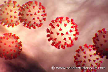 Province identifies 539 new COVID-19 cases, 7 new deaths - Red Deer Advocate