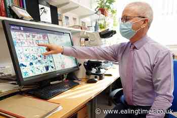 Pilot scheme using AI could transform cervical cancer screening, experts say - Ealing Times