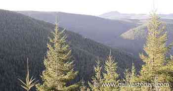 State lawmakers approve Private Forest Accord | News | dailyastorian.com - Daily Astorian