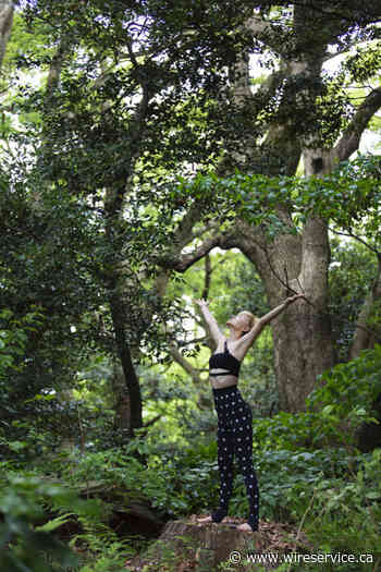 Forest treatment, recommended by doctors in Canada. But it is worth doing it yourself - Wire Service Canada