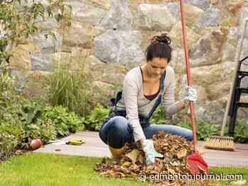 Growing Things: There's a middle ground when mulching leaves