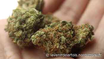 Justice : Près d’Arras, il a vendu plusieurs kilos de cannabis via Snapchat - Nord Littoral