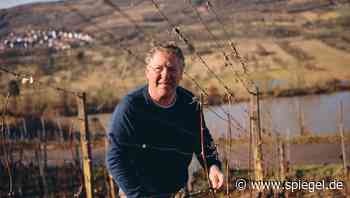 Biowein-Boom: Trinken Sie Ihren Merlot mit Pestiziden – oder ohne?