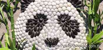 Artista embeleza praias com esculturas de animais feitas com conchas - UOL