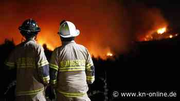 Waldbrand in Südkorea: Tausende von Menschen müssen fliehen