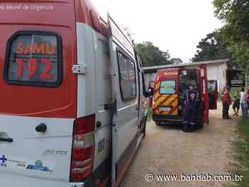 Idoso de 77 anos cai de escada durante poda de árvore e fica em estado grave, em Almirante Tamandaré - Banda B