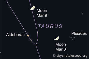 This Week's Sky at a Glance, March 4 – 12