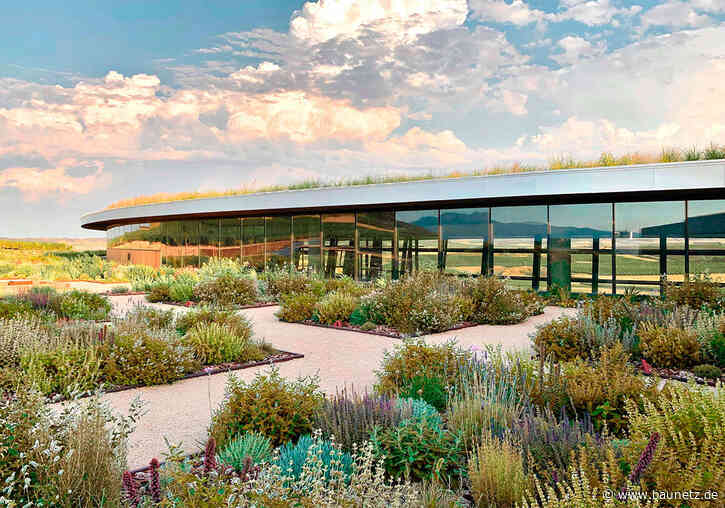 Im Glashaus trinken - Weinkellerei von IDOM im spanischen Ollauri