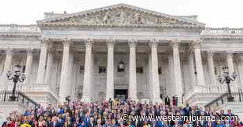 Republicans and Democrats Proudly Pose on Steps of Capitol with American Flag Desecrated for Ukraine