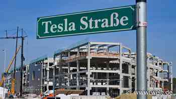 Tesla erhält endgültige Genehmigung für Werk in Brandenburg