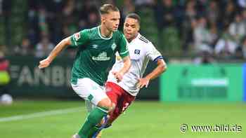 Werder Bremen: Schmid-Ersatz? Schmidt hat Dresden zum Treffen gern - BILD