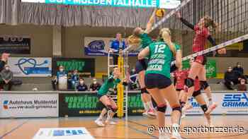 Sachsen Volleys Grimma gastieren beim VCO Dresden: "Immer etwas Besonderes" - Sportbuzzer