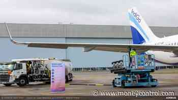 IndiGo takes delivery of A320 neo plane powered with sustainable aviation fuel - Moneycontrol