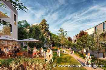 Neubaugebiet oder nicht: Letzte Fragen zum ersten Bürgerentscheid in Kenzingen - Kenzingen - Badische Zeitung