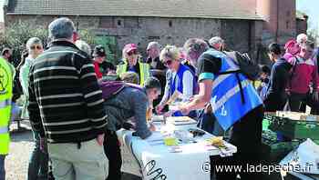 Montech. Secours populaire: réussite de la marche pour la solidarité - LaDepeche.fr