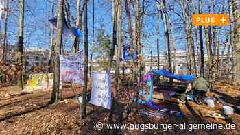Waldrodung an Uniklinik: Biologe wehrt sich gegen Angriffe von Aktivisten