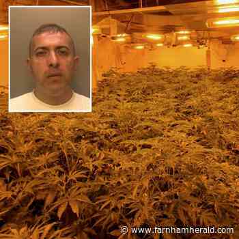 High flying drug lord jailed after huge cannabis factory discovered in Farnham | farnhamherald.com - Farnham Herald