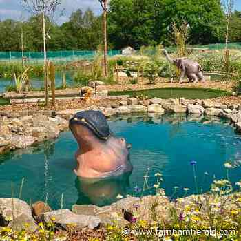 New jungle-themed crazy golf course opens near Farnham | farnhamherald.com - Farnham Herald