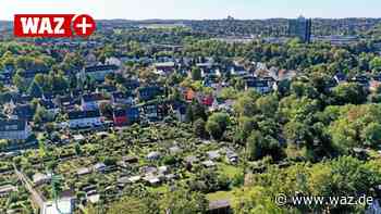 Neues Waldstück wächst in Essen-Frohnhausen an - WAZ News