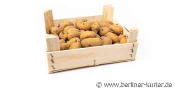Kann man Kartoffeln mit Trieben noch essen? Wie lässt sich das Keimen der Knolle hinauszögern? - Berliner Kurier