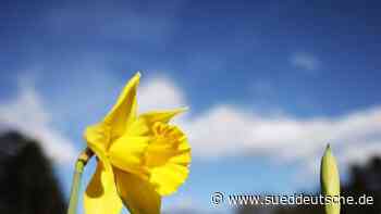 Wetter - Essen - Es bleibt sonnig in Nordrhein-Westfalen - Panorama - SZ.de - Süddeutsche Zeitung - SZ.de