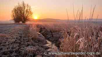 Wetter in Balingen - Ein warmer, sonniger, kaum winterlicher Februar - Schwarzwälder Bote
