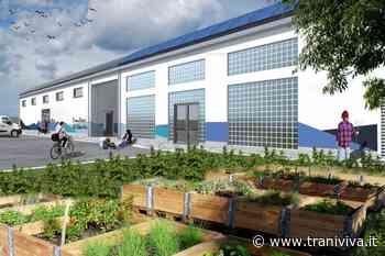 Appaltati i lavori per il cantiere navale-scuola che sorgerà nei terreni confiscati alla criminalità - TraniViva