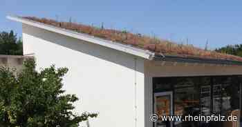 Dezentrale Lüftungsanlage in Grundschule - Rheinpfalz.de