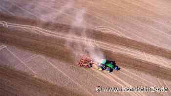 „Handel füllt sich die Taschen“: Bei Rosenheimer Landwirten kommt wenig von den Ladenpreisen an