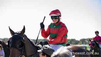 Local trainers to keep eye on form at Geraldton Turf Club as Cup day approaches - The West Australian