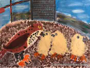 WWF: INSETTI IMPOLLINATORI NEL CONCORSO PER BAMBINI - Lecconews