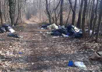 Delle sbarre protettive per i boschi di Samarate: l'idea del M5S - MalpensaNews.it