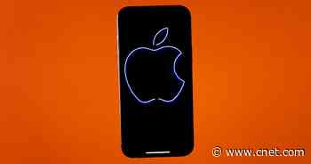 Apple Shareholders Vote for Independent Civil Rights Audit of Company     - CNET