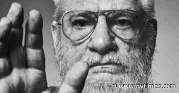 Dan Graham, Mind-Bending Conceptual Artist, Dies at 79