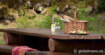 Alcohol to be allowed in some Edmonton parks again this year - Global News