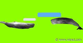 What If The Internet Is Actually A Living Thing?