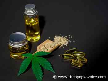 How to Drive SEO for CBD Companies - The Apopka Voice