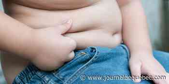 Journée mondiale contre l’obésité: éliminer les préjugés pour améliorer la santé de notre société