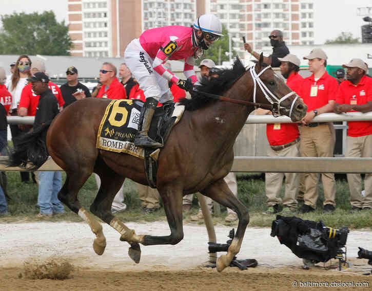 Voting Underway For The Art Of Racing Contest