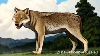 A Ponte Galeria (Roma) scoperte le ossa del primo lupo d'Europa - Fidelity News