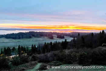 Less rain, more sun marks February weather - Comox Valley Record