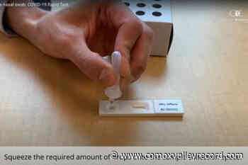 Most Comox Valley schools have sent home COVID test kits – Comox Valley Record - Comox Valley Record