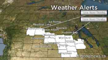 Saskatoon braces for an additional 15 cm of snow as snowfall warning continues - Global News