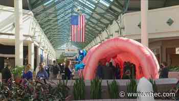 Giant inflatable colon set up at Mall at Greece Ridge for cancer awareness