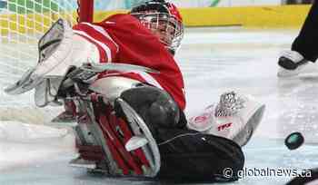 Saskatchewan set to compete at the para hockey nationals for the first time