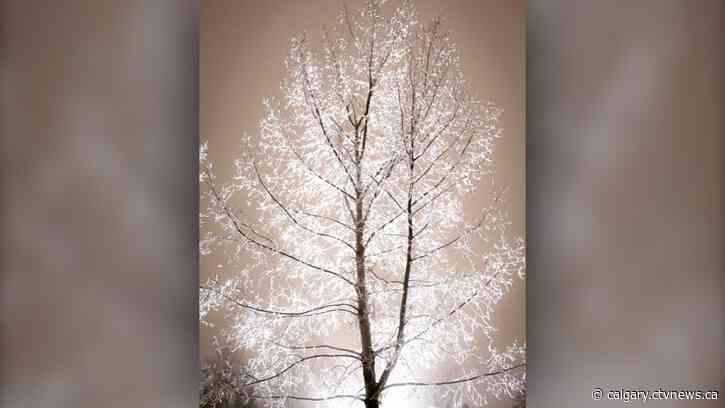 Update: Another wintry wave arrives next week for Calgary