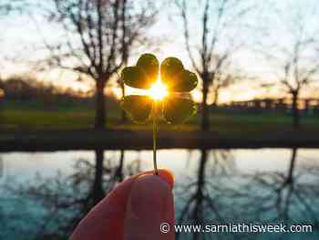 Heritage museum to explore legacy of Lambton's Irish immigrants - Sarnia and Lambton County This Week