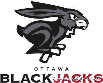 Blackjacks add former Cal State Fullerton star forward - Sarnia and Lambton County This Week