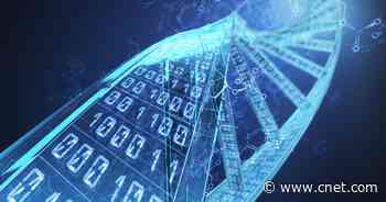 DNA Gets Artificial Upgrade to Store Humanity's Boundless Digital Data     - CNET