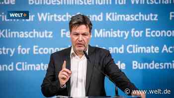 „Höchste Sicherheitsbedenken“ – Habeck übergeht hochrangige Atomexperten